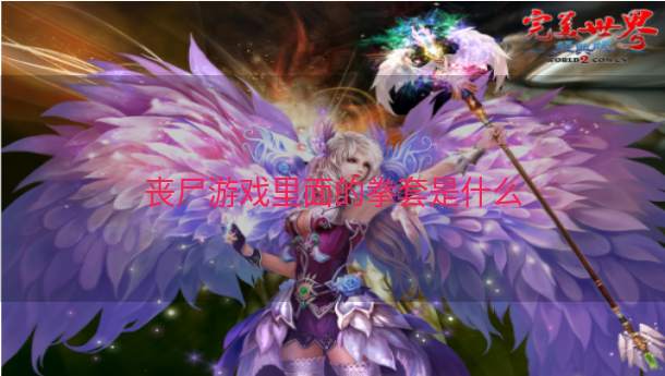 丧尸游戏里面的拳套是什么  第1张